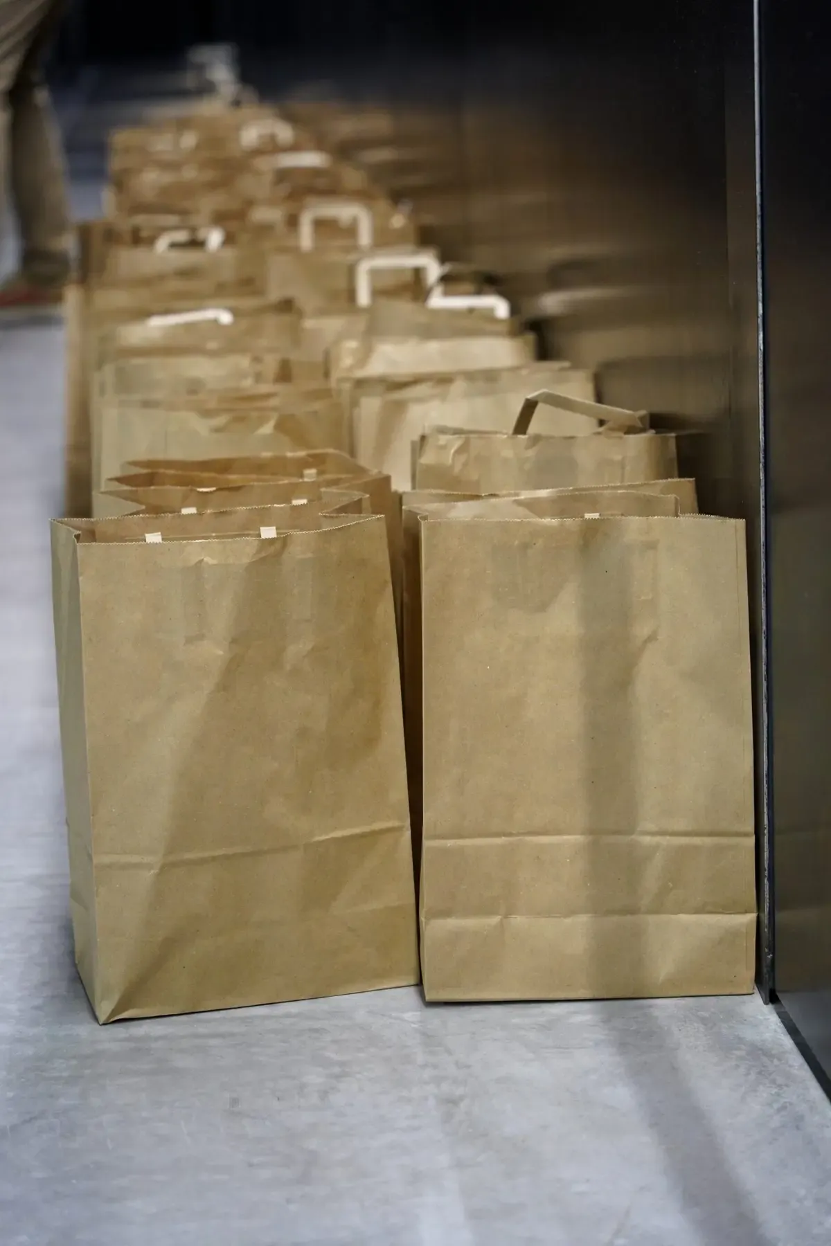 Row of kraft paper carrier bags